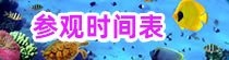 參觀(guān)時(shí)間表